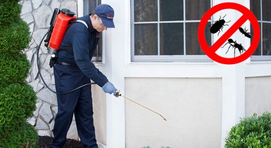 Mezitli Akrep İlaçlama böcek ilaçlama ve haşere kontrolü — ilaclama-tr.com